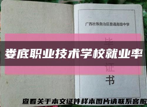 娄底职业技术学校就业率缩略图