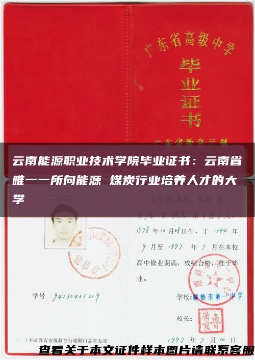 云南能源职业技术学院毕业证书：云南省唯一一所向能源 煤炭行业培养人才的大学缩略图