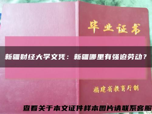 新疆财经大学文凭：新疆哪里有强迫劳动？缩略图