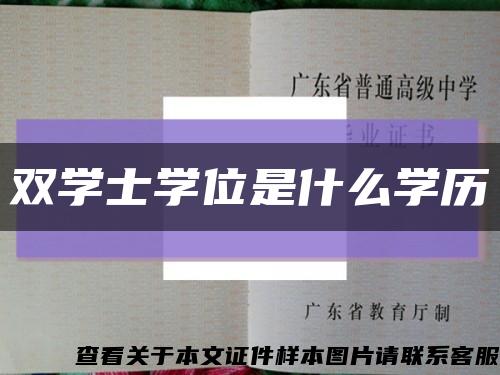 双学士学位是什么学历缩略图