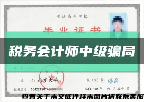 税务会计师中级骗局缩略图