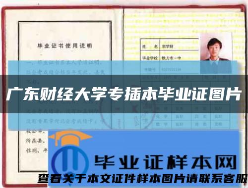 广东财经大学专插本毕业证图片缩略图