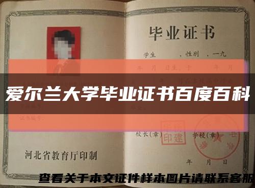 爱尔兰大学毕业证书百度百科缩略图