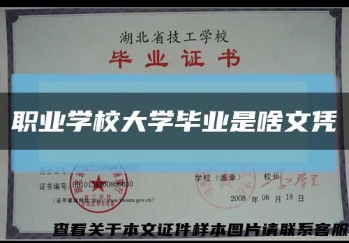 职业学校大学毕业是啥文凭缩略图