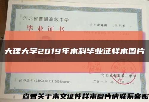 大理大学2019年本科毕业证样本图片缩略图