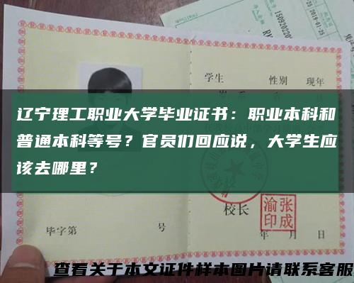 辽宁理工职业大学毕业证书：职业本科和普通本科等号？官员们回应说，大学生应该去哪里？缩略图