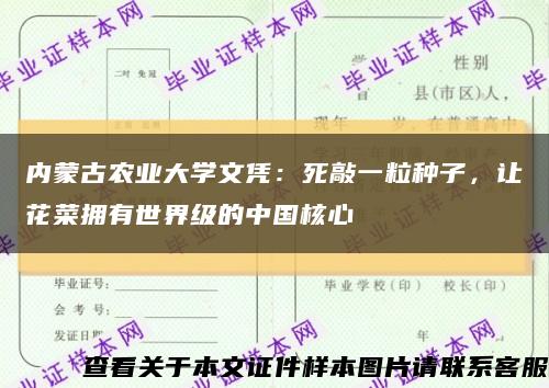 内蒙古农业大学文凭：死敲一粒种子，让花菜拥有世界级的中国核心缩略图