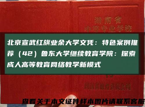 北京宣武红旗业余大学文凭：特色案例推荐（42）鲁东大学继续教育学院：探索成人高等教育网络教学新模式缩略图