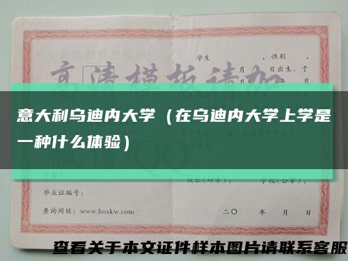 意大利乌迪内大学（在乌迪内大学上学是一种什么体验）缩略图