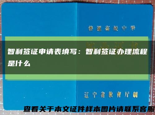 智利签证申请表填写：智利签证办理流程是什么缩略图