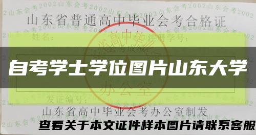 自考学士学位图片山东大学缩略图