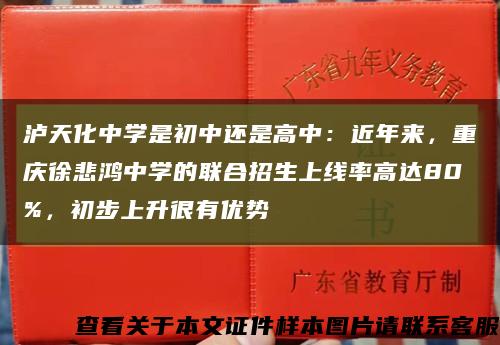 泸天化中学是初中还是高中：近年来，重庆徐悲鸿中学的联合招生上线率高达80%，初步上升很有优势缩略图