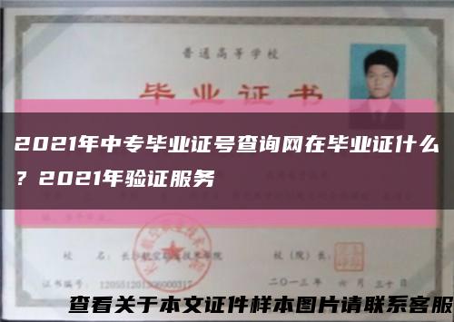 2021年中专毕业证号查询网在毕业证什么？2021年验证服务缩略图