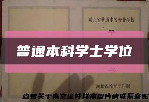 普通本科学士学位缩略图