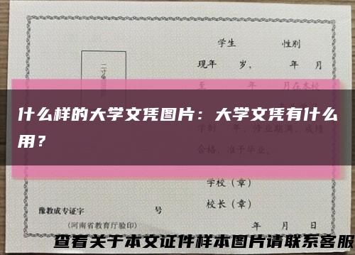 什么样的大学文凭图片：大学文凭有什么用？缩略图