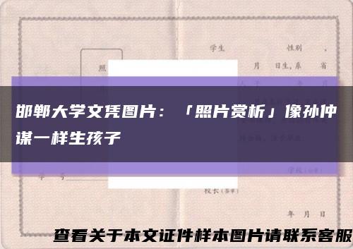 邯郸大学文凭图片：「照片赏析」像孙仲谋一样生孩子缩略图