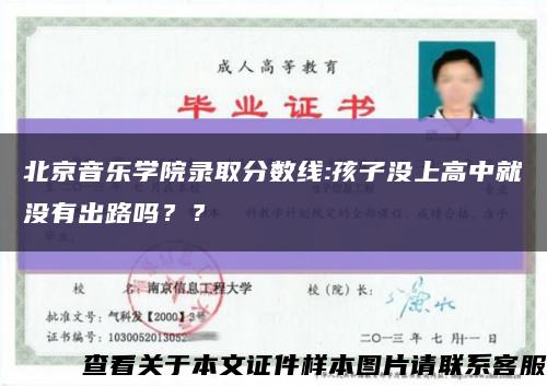 北京音乐学院录取分数线:孩子没上高中就没有出路吗？？缩略图