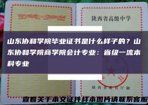 山东协和学院毕业证书是什么样子的？山东协和学院商学院会计专业：省级一流本科专业缩略图