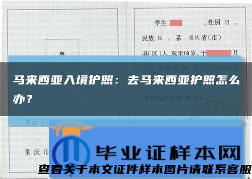 马来西亚入境护照：去马来西亚护照怎么办？缩略图