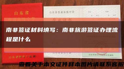 南非签证材料填写：南非旅游签证办理流程是什么缩略图