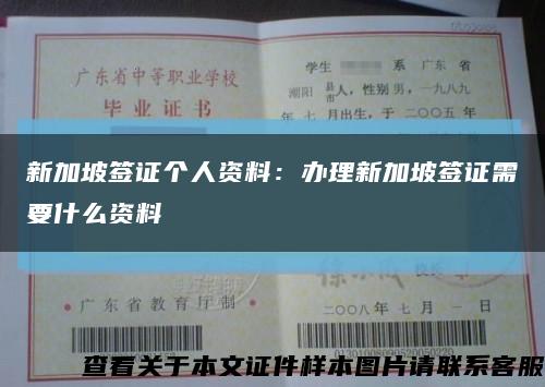 新加坡签证个人资料：办理新加坡签证需要什么资料缩略图