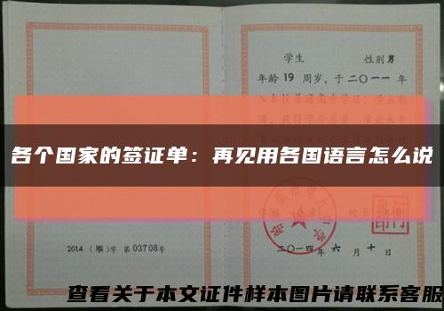 各个国家的签证单：再见用各国语言怎么说缩略图