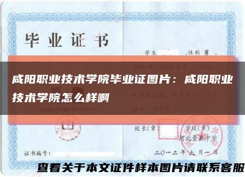 咸阳职业技术学院毕业证图片：咸阳职业技术学院怎么样啊缩略图