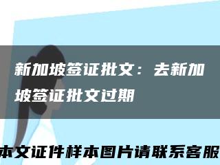 新加坡签证批文：去新加坡签证批文过期缩略图