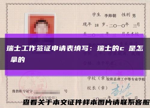 瑞士工作签证申请表填写：瑞士的c簽是怎麼拿的缩略图