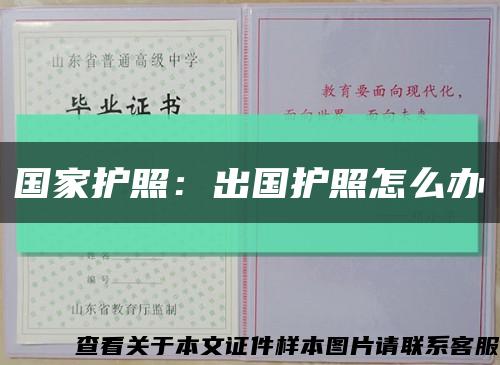 国家护照：出国护照怎么办缩略图