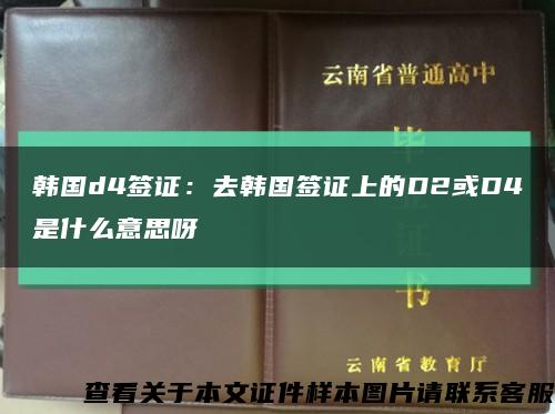 韩国d4签证：去韩国签证上的D2或D4是什么意思呀缩略图