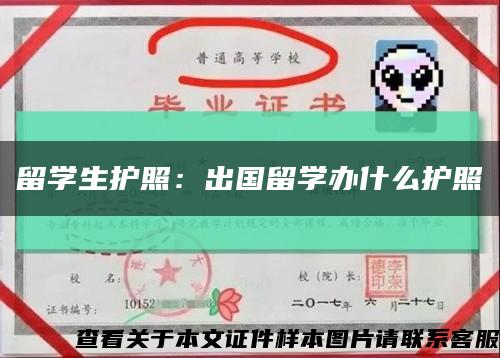 留学生护照：出国留学办什么护照缩略图