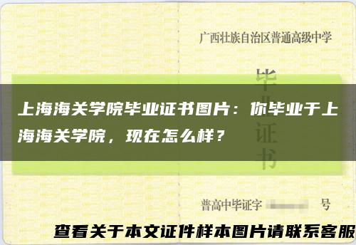 上海海关学院毕业证书图片：你毕业于上海海关学院，现在怎么样？缩略图