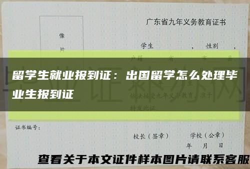 留学生就业报到证：出国留学怎么处理毕业生报到证缩略图