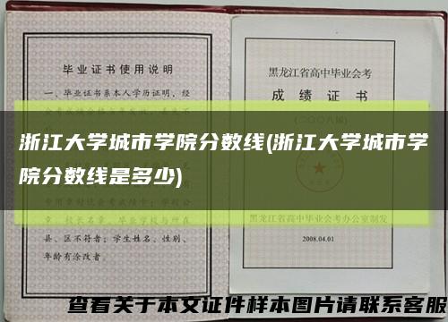 浙江大学城市学院分数线(浙江大学城市学院分数线是多少)缩略图