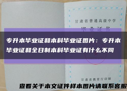 专升本毕业证和本科毕业证图片：专升本毕业证和全日制本科毕业证有什么不同缩略图