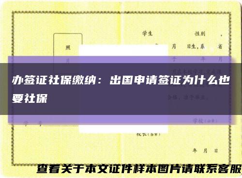 办签证社保缴纳：出国申请签证为什么也要社保缩略图