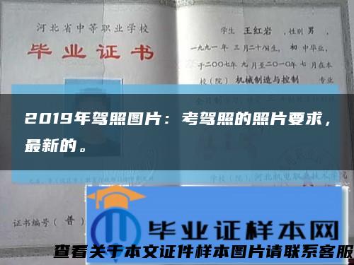 2019年驾照图片：考驾照的照片要求，最新的。缩略图