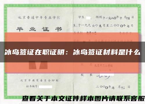 冰岛签证在职证明：冰岛签证材料是什么缩略图