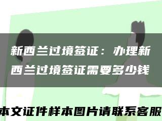 新西兰过境签证：办理新西兰过境签证需要多少钱缩略图