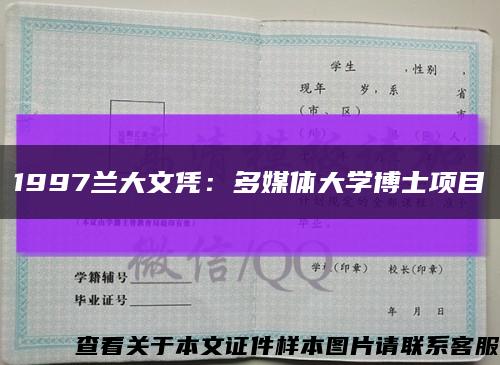 1997兰大文凭：多媒体大学博士项目缩略图