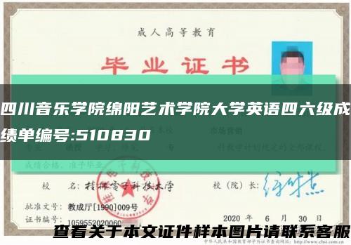 四川音乐学院绵阳艺术学院大学英语四六级成绩单编号:510830缩略图