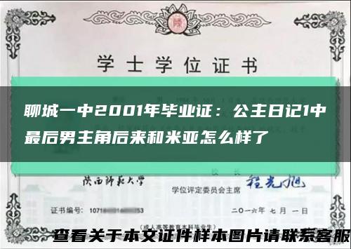 聊城一中2001年毕业证：公主日记1中最后男主角后来和米亚怎么样了缩略图