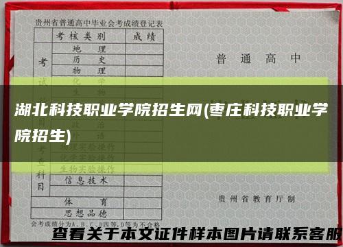 湖北科技职业学院招生网(枣庄科技职业学院招生)缩略图