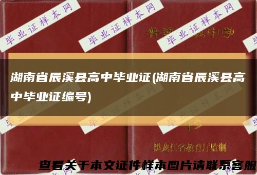 湖南省辰溪县高中毕业证(湖南省辰溪县高中毕业证编号)缩略图