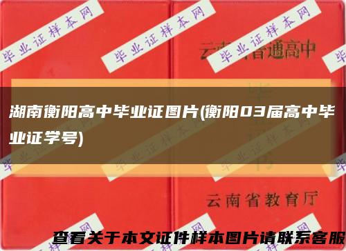 湖南衡阳高中毕业证图片(衡阳03届高中毕业证学号)缩略图