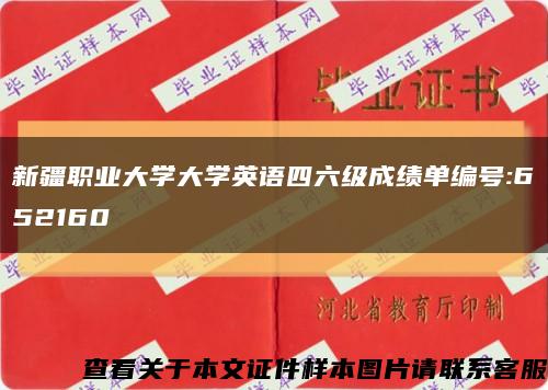 新疆职业大学大学英语四六级成绩单编号:652160缩略图