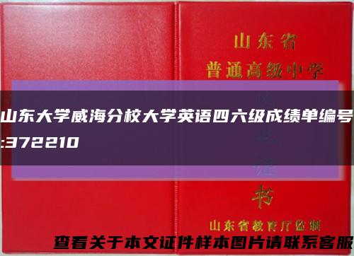 山东大学威海分校大学英语四六级成绩单编号:372210缩略图