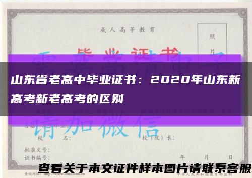 山东省老高中毕业证书：2020年山东新高考新老高考的区别缩略图