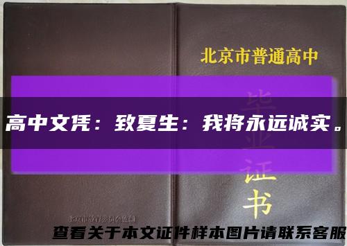 高中文凭：致夏生：我将永远诚实。缩略图